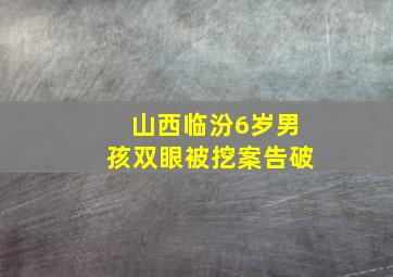 山西临汾6岁男孩双眼被挖案告破