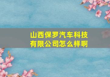 山西保罗汽车科技有限公司怎么样啊