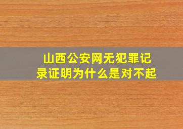 山西公安网无犯罪记录证明为什么是对不起