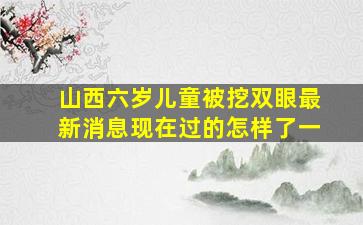 山西六岁儿童被挖双眼最新消息现在过的怎样了一