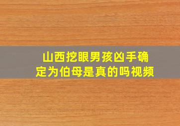 山西挖眼男孩凶手确定为伯母是真的吗视频