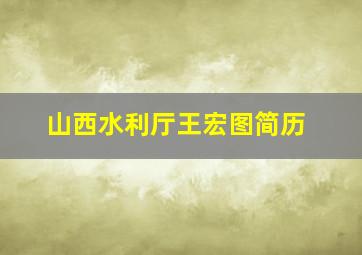 山西水利厅王宏图简历