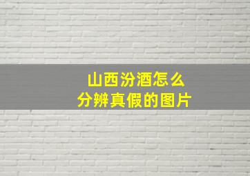 山西汾酒怎么分辨真假的图片