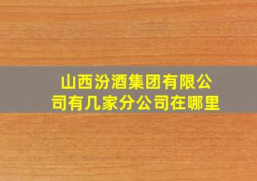 山西汾酒集团有限公司有几家分公司在哪里