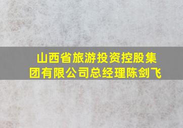 山西省旅游投资控股集团有限公司总经理陈剑飞