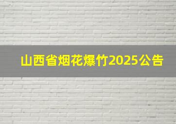 山西省烟花爆竹2025公告