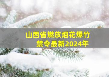 山西省燃放烟花爆竹禁令最新2024年