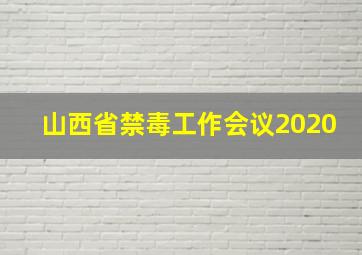 山西省禁毒工作会议2020