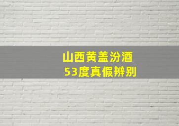 山西黄盖汾酒53度真假辨别