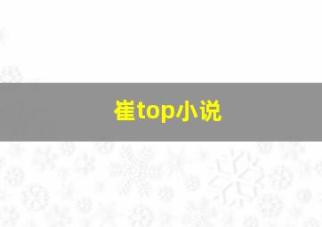 崔top小说