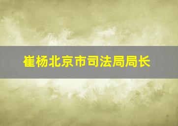 崔杨北京市司法局局长