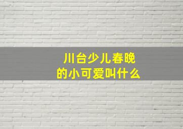 川台少儿春晚的小可爱叫什么