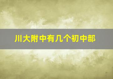 川大附中有几个初中部