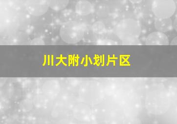 川大附小划片区