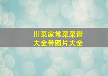 川菜家常菜菜谱大全带图片大全