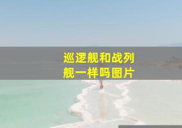 巡逻舰和战列舰一样吗图片