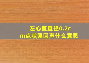 左心室直径0.2cm点状强回声什么意思