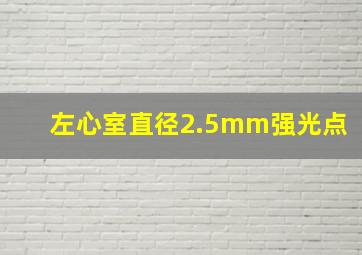 左心室直径2.5mm强光点