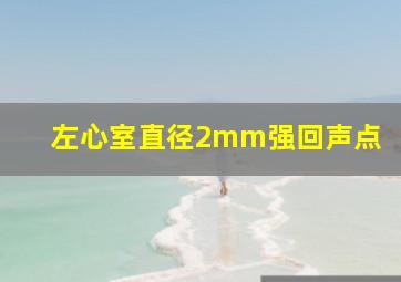 左心室直径2mm强回声点