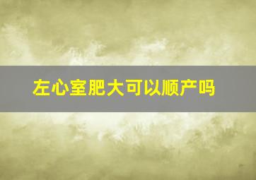 左心室肥大可以顺产吗