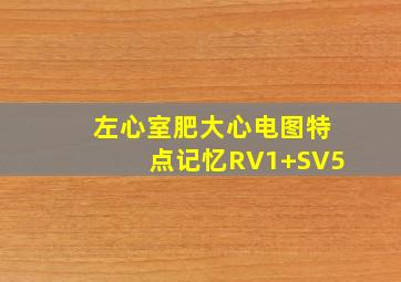 左心室肥大心电图特点记忆RV1+SV5