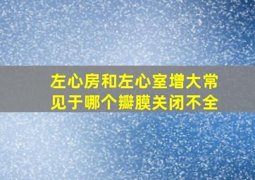 左心房和左心室增大常见于哪个瓣膜关闭不全