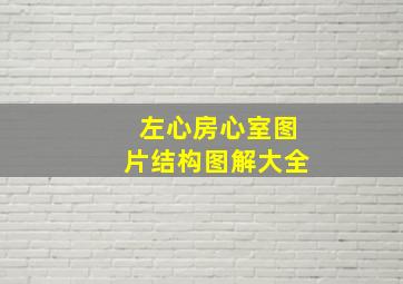 左心房心室图片结构图解大全