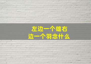 左边一个雄右边一个羽念什么