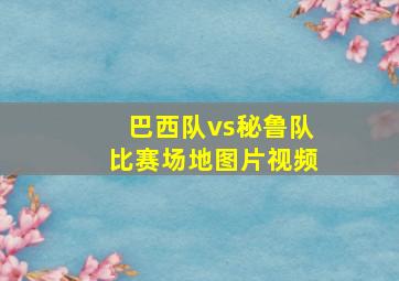 巴西队vs秘鲁队比赛场地图片视频