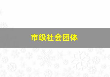 市级社会团体