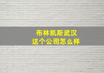 布林凯斯武汉这个公司怎么样