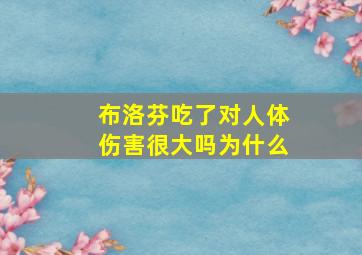 布洛芬吃了对人体伤害很大吗为什么