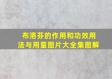 布洛芬的作用和功效用法与用量图片大全集图解