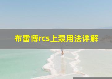 布雷博rcs上泵用法详解