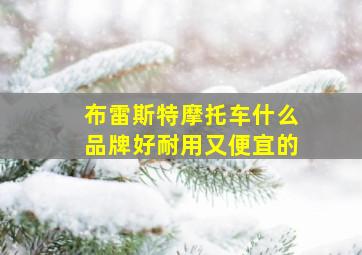 布雷斯特摩托车什么品牌好耐用又便宜的