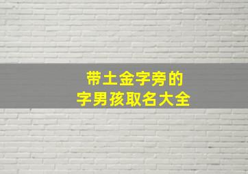 带土金字旁的字男孩取名大全