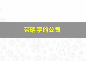 带明字的公司