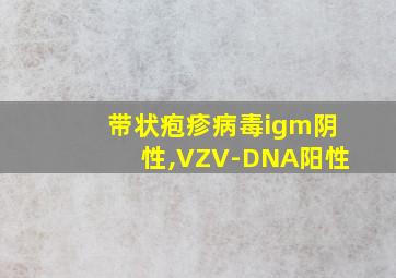 带状疱疹病毒igm阴性,VZV-DNA阳性