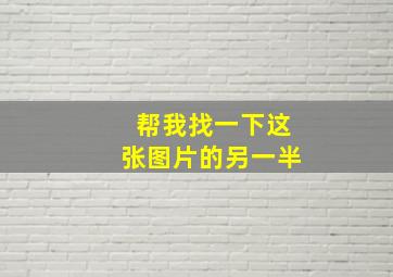 帮我找一下这张图片的另一半