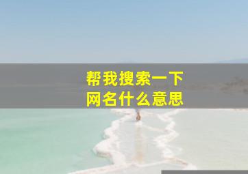 帮我搜索一下网名什么意思