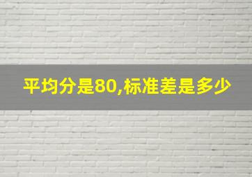 平均分是80,标准差是多少