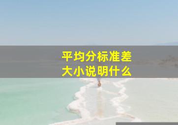 平均分标准差大小说明什么