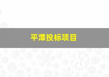 平潭投标项目