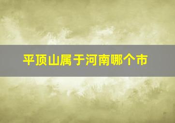 平顶山属于河南哪个市