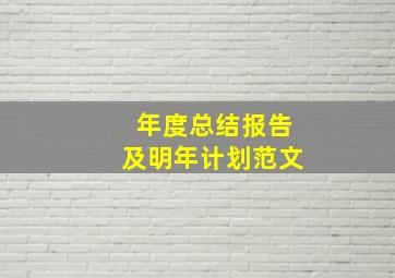 年度总结报告及明年计划范文