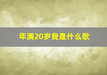 年满20岁我是什么歌