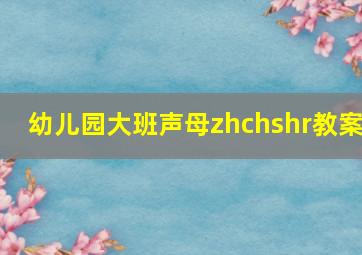 幼儿园大班声母zhchshr教案