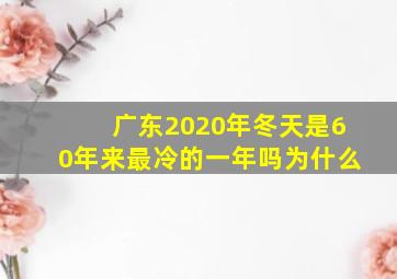 广东2020年冬天是60年来最冷的一年吗为什么