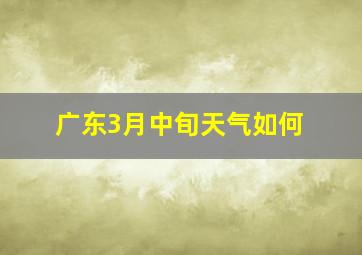 广东3月中旬天气如何