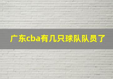 广东cba有几只球队队员了